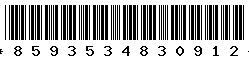 8593534830912