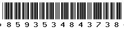 8593534843738