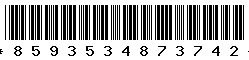 8593534873742