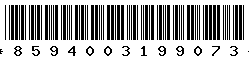 8594003199073