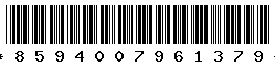 8594007961379 8594007961379