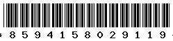 8594158029119