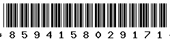 8594158029171