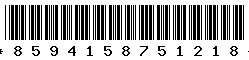 8594158751218
