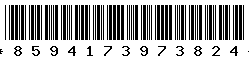 8594173973824 8594173973824