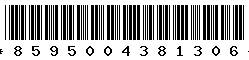 8595004381306