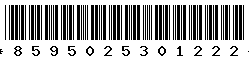 8595025301222