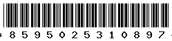 8595025310897