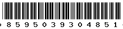 8595039304851