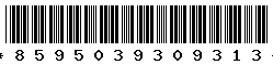 8595039309313 8595039309313