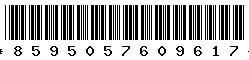 8595057609617