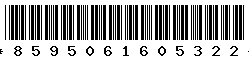 8595061605322