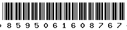 8595061608767