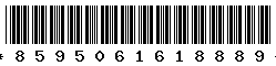 8595061618889
