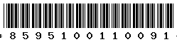 8595100110091 8595100110091