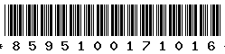 8595100171016