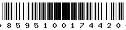 8595100174420