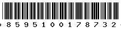 8595100178732