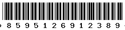 8595126912389