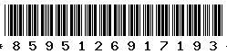 8595126917193