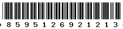 8595126921213 8595126921213