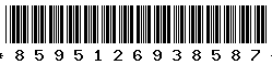 8595126938587