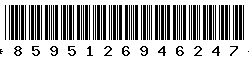 8595126946247 8595126946247
