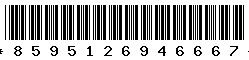 8595126946667