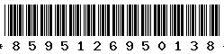 8595126950138