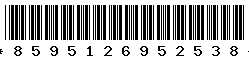 8595126952538