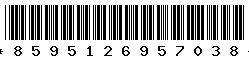 8595126957038 8595126957038