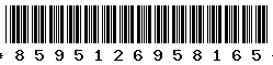 8595126958165