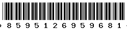 8595126959681