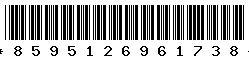 8595126961738