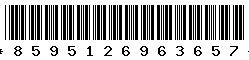 8595126963657