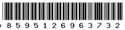 8595126963732