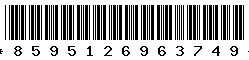 8595126963749