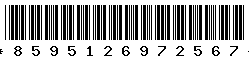 8595126972567