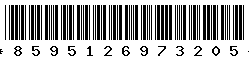 8595126973205