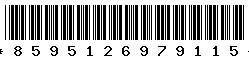 8595126979115
