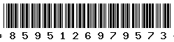 8595126979573 8595126979573