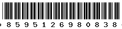 8595126980838