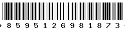 8595126981873