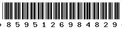 8595126984829