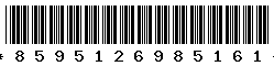 8595126985161