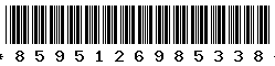 8595126985338