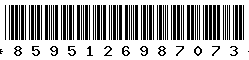 8595126987073 8595126987073