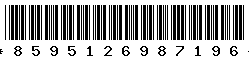 8595126987196