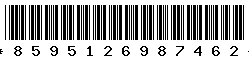 8595126987462