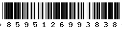 8595126993838